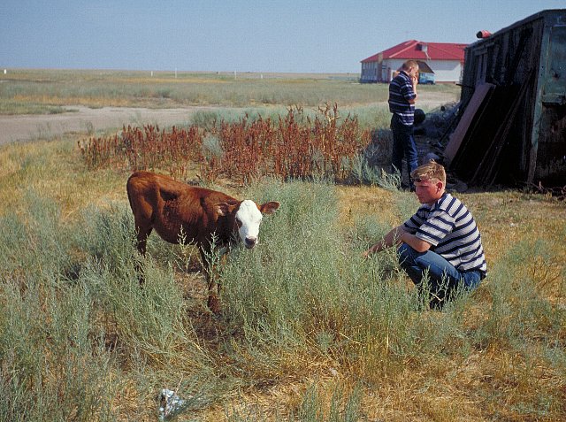 1-9 Tengkis Lake, Kazakhstan, July 2000/ Bessa Elmar R 35mm Kodak EBX