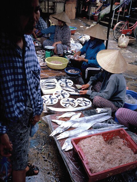 64-11 Hanoi, Vietnam, January 2004/ Bessa R Snapshot Scopar 25mm Kodak EBX