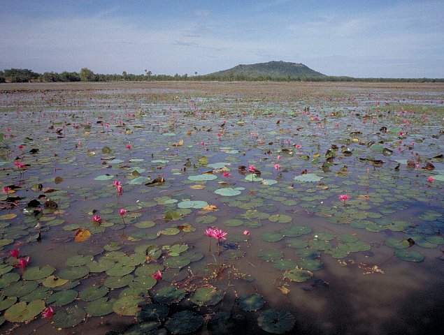 7-1 Takeo, Cambodia, December 2002/ Bessa R 25mm Kodak Film type to be determined